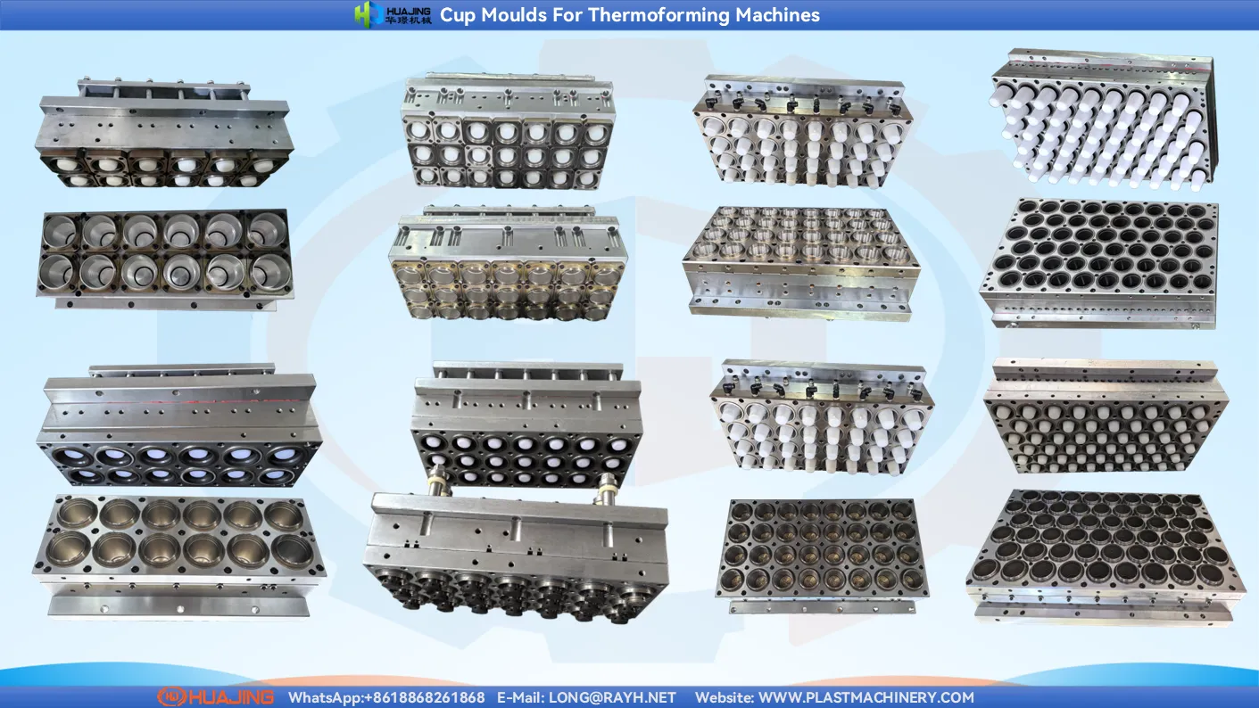 Cup Thermoforming Mould+Ruian Huajing Machinery-WhatsApp+8618868261868.png