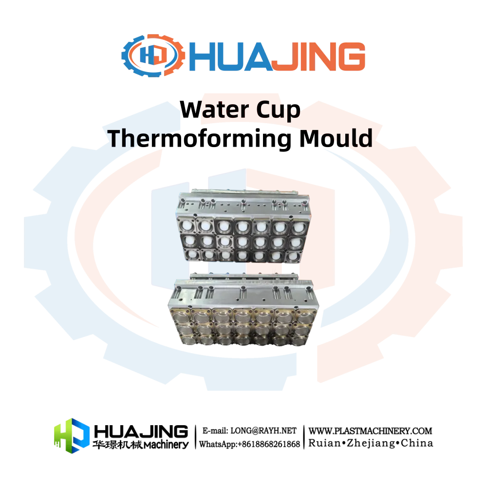 Water Cup Thermoforming Mould