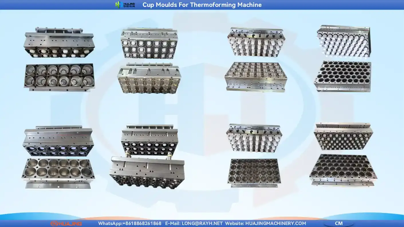 Cup Mould of Thermoforming Machine.webp